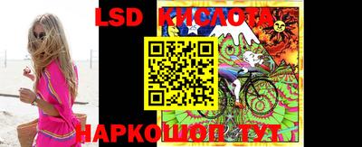 гашик Кунгур